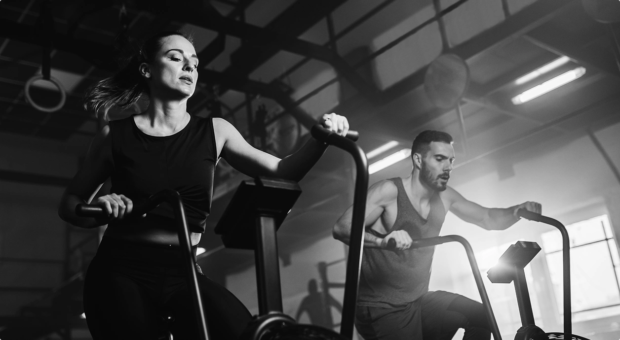 Choose Your Categoryy